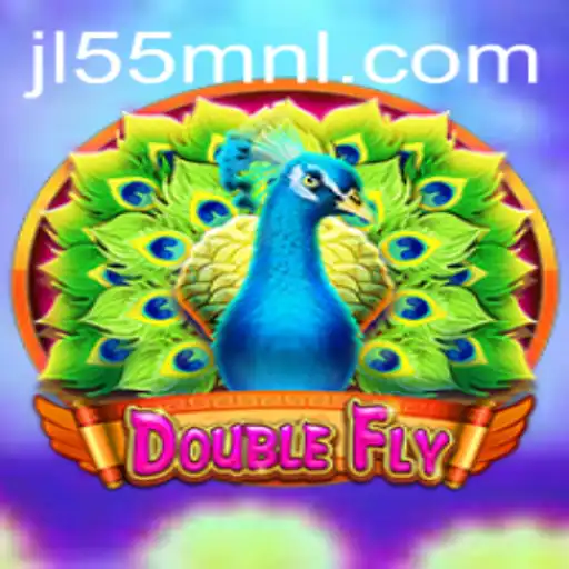 DoubleFly: The Ultimate Adventure Beyond the Skies